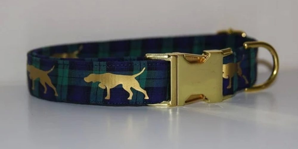 Uses Of Orthopaedic dog beds