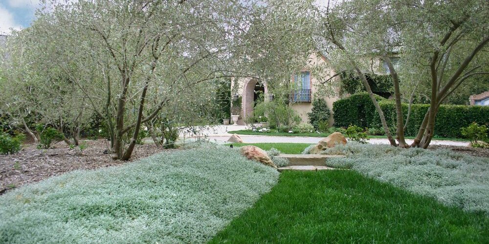 Experts discuss Montecito backyard landscaping and getting it through your company.