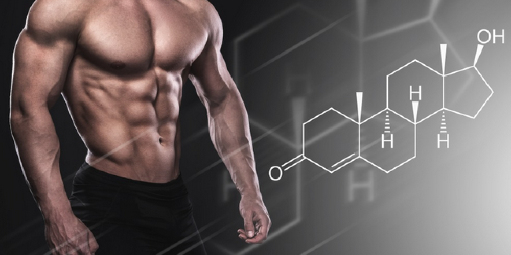 The Relationship Between Testosterone and Adrenal Function