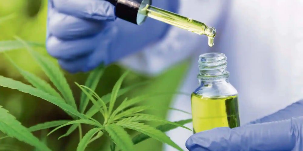 Cannabidiol (CBD) as a Potential Cancer Treatment