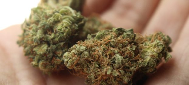 Consider Getting Your Medical Marijuana from a Dispensary