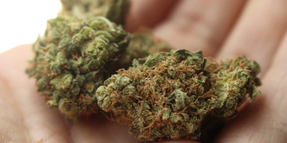 Consider Getting Your Medical Marijuana from a Dispensary