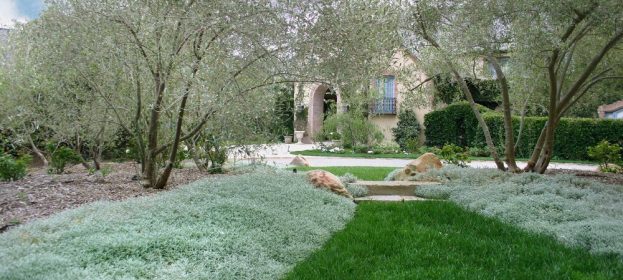 Experts discuss Montecito backyard landscaping and getting it through your company.