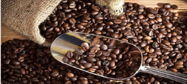 Take a Break And Savor The Flavor Of premium Quality Coffee Beans From Around The World