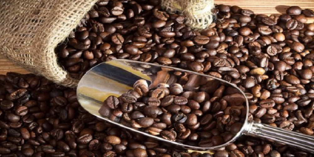 Take a Break And Savor The Flavor Of premium Quality Coffee Beans From Around The World