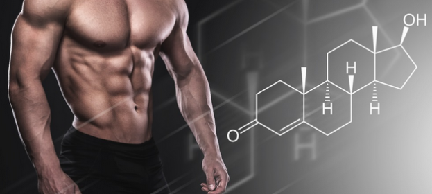 The Relationship Between Testosterone and Adrenal Function